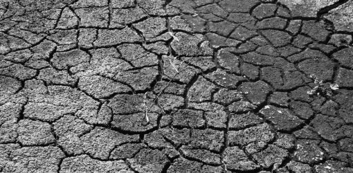 HUNGERSNÖTE [MoK-Folge 548]