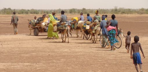 AFRIKAS MIGRATION (Wiederholung) [MoK-Folge 556]